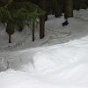 Onnion 2006 177